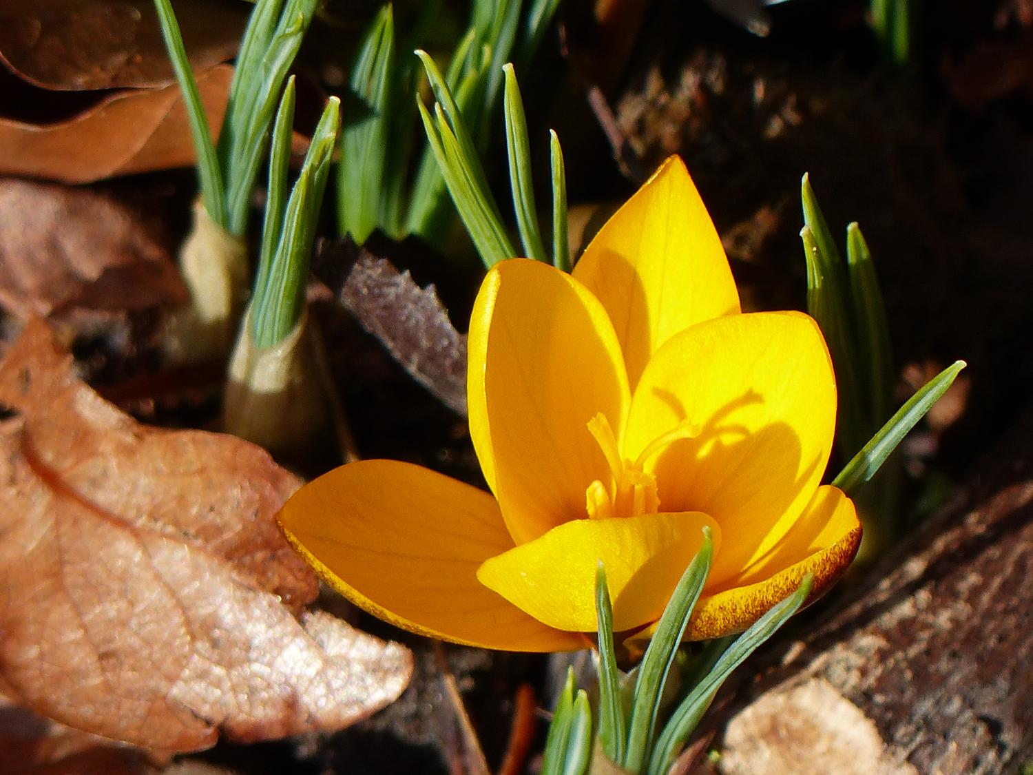 2603 Impuls p2190441_by_Wunibald-Woerle_pfarrbriefservice (c) Wunibald-Woerle_pfarrbriefservice