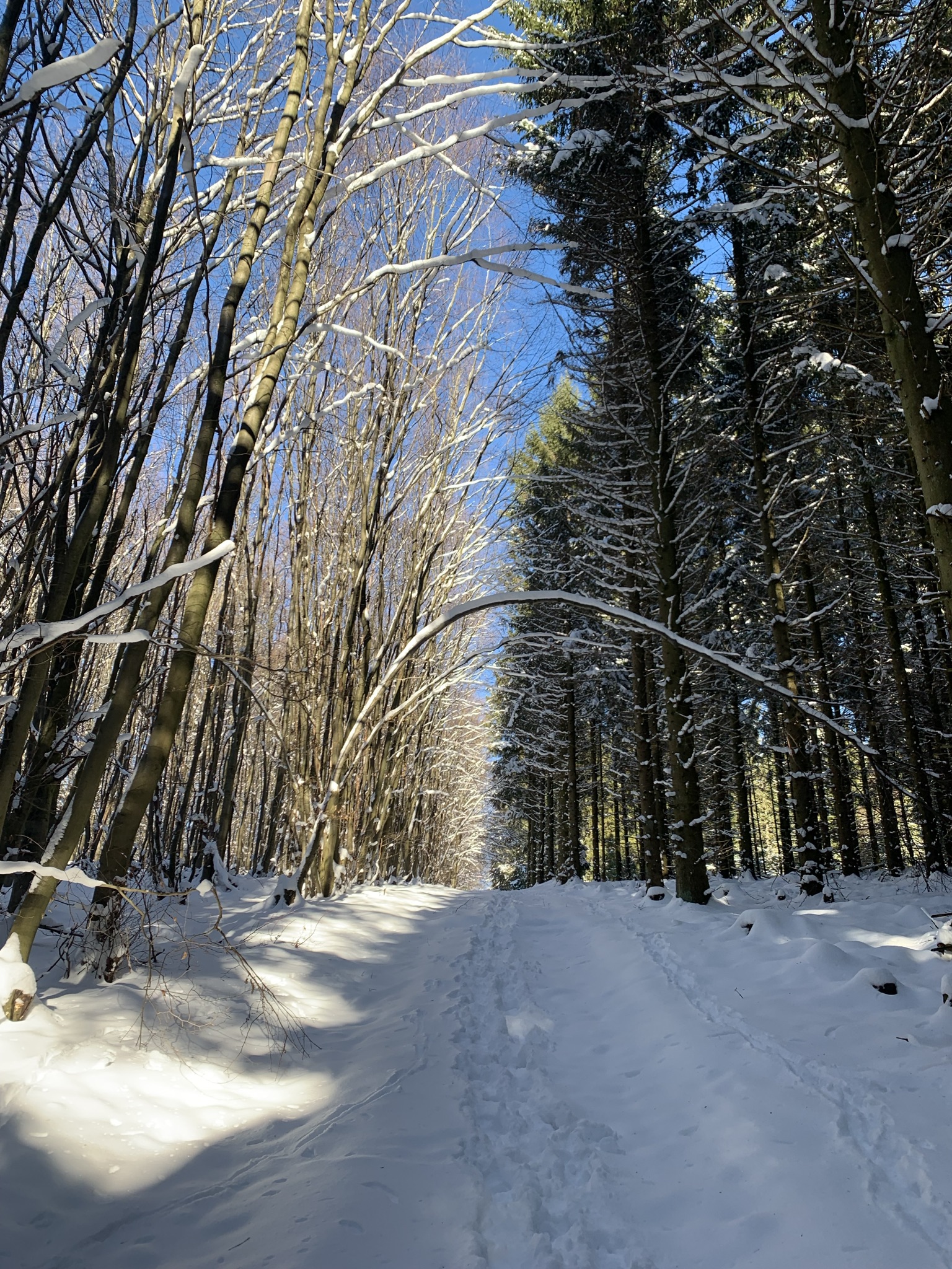 Schneelandschaft (c) J. Boltersdorf