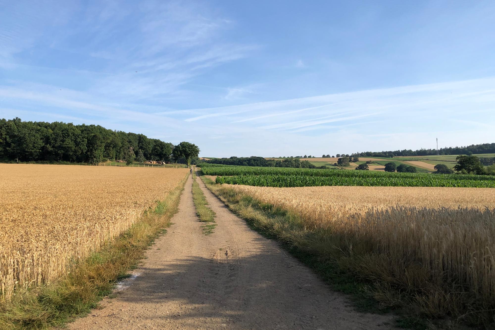 Wanderung Frauen 17.09.25