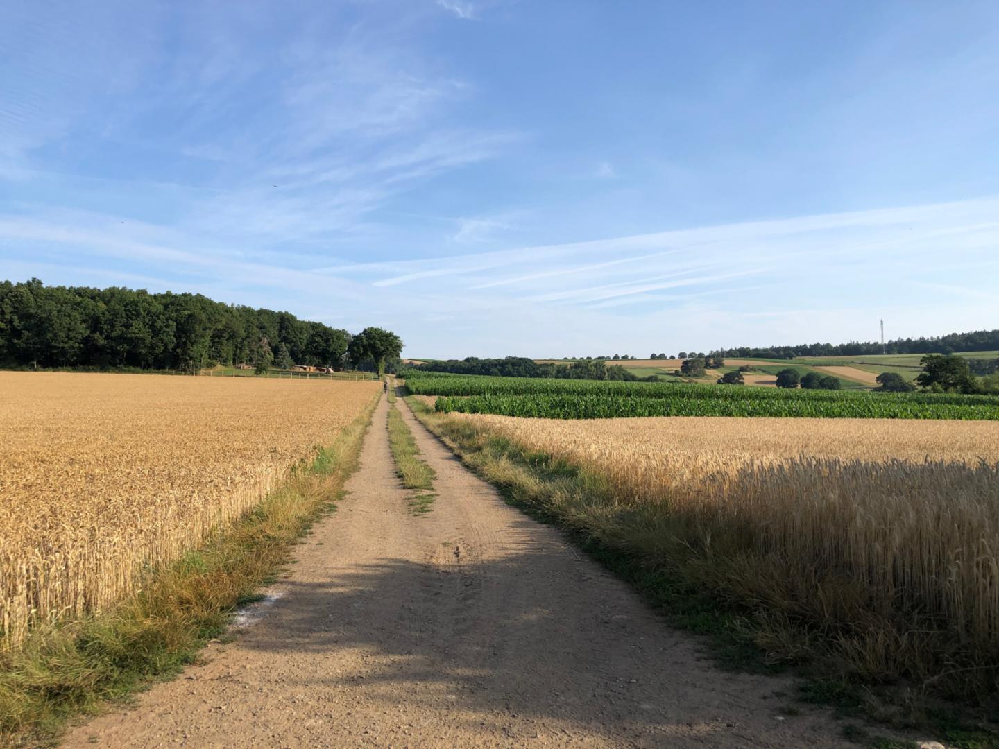 Wanderung Frauen 17.09.25 (c) Monika Schall