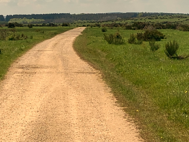 Weg